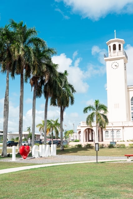 Hawai's beautiful blue sky and palm trees